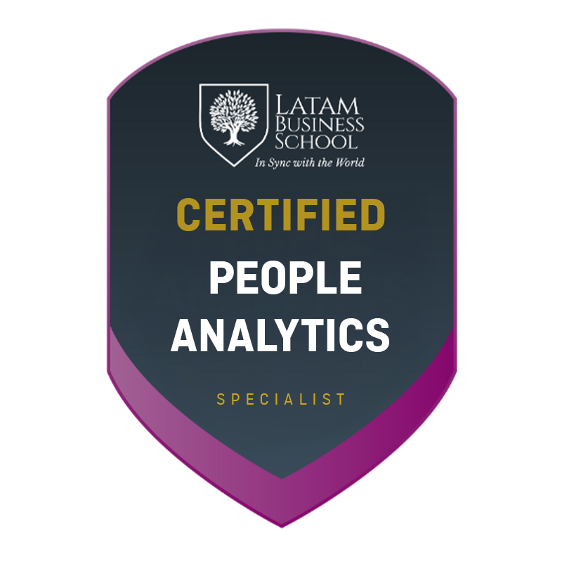 Insignia People Analytics